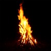 bonfire100x101.jpg
