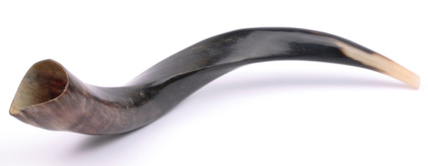 shofar23.jpg