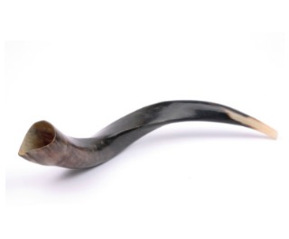 shofar320x265.jpg