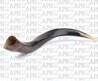 Shofar_on_APN_Wallpaper320x265.jpg